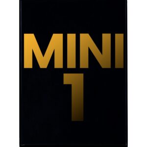 iPad Mini 1 LCD + Screen Replacement_White-Fix Factory Canada